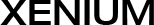 Xenium IT Services